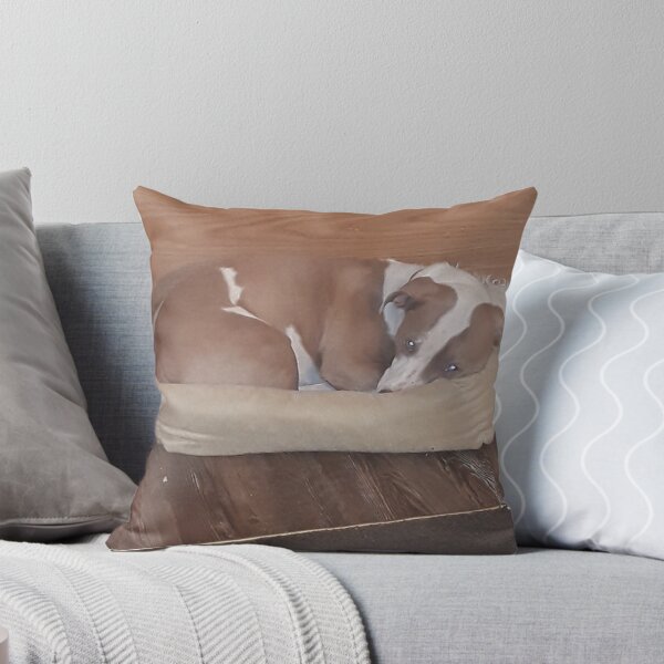 Item preview, TIME TO SLEEP DOG designed and sold by Jarred Chaisson.