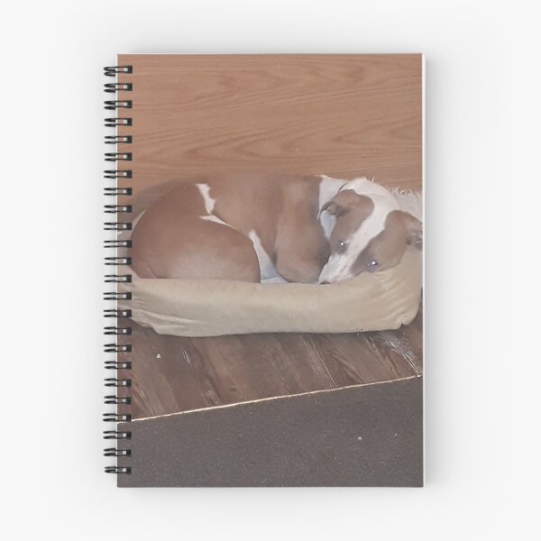 Item preview, TIME TO SLEEP DOG designed and sold by Jarred Chaisson.
