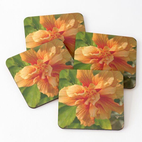 Item preview, Orange Hibiscus Bloom designed and sold by MercerImages.