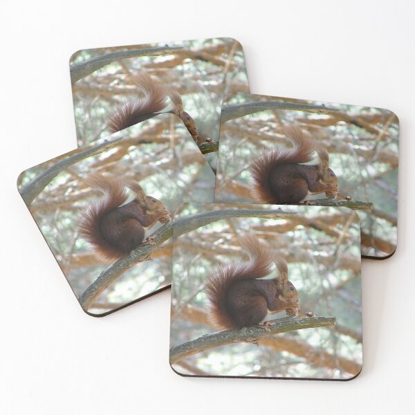 Item preview, Squirrel eating in a tree designed and sold by Luis J. de la Fuente.