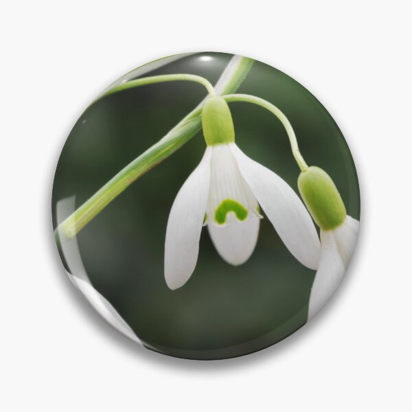 Item preview, Snowdrops designed and sold by JEZ22.