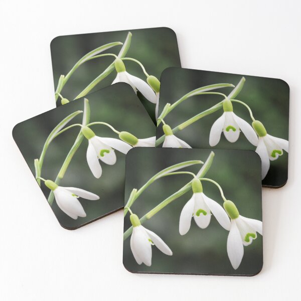Item preview, Snowdrops designed and sold by JEZ22.