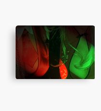 Red Breasts Canvas Print