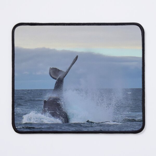 Item preview, Humpback whale splashing with his tale designed and sold by elisainiceland.