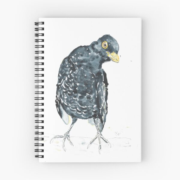 Item preview, Blackbird staring designed and sold by GiselleSellier.
