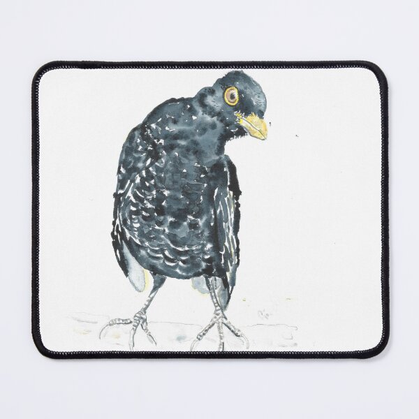 Item preview, Blackbird staring designed and sold by GiselleSellier.