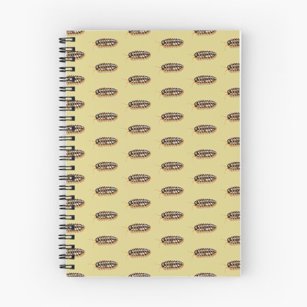 Item preview, Klugii Clown Isopod designed and sold by Lilis-isopods.