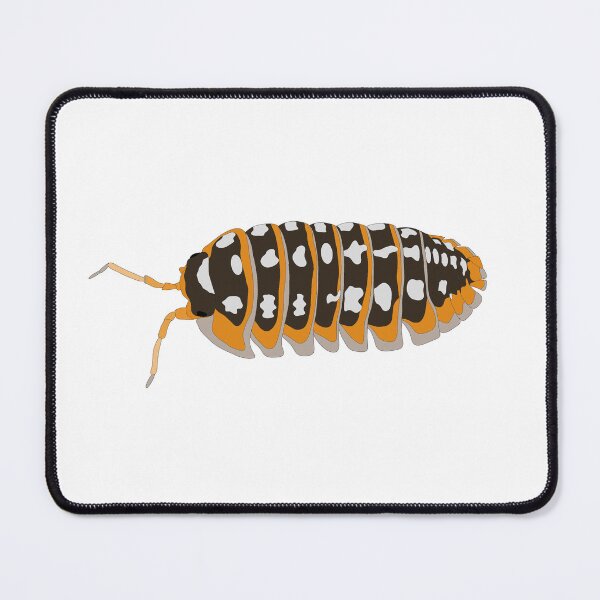 Item preview, Klugii Clown Isopod designed and sold by Lilis-isopods.