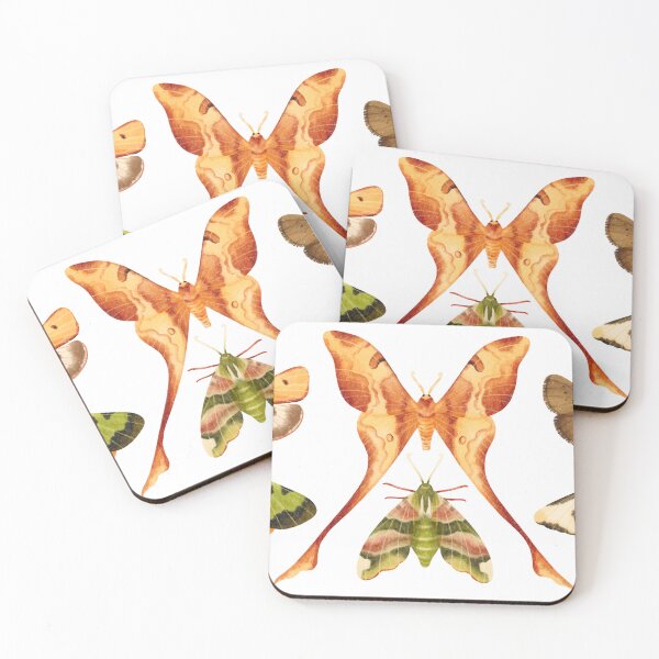 Item preview, Moth wonders designed and sold by StickyVista.