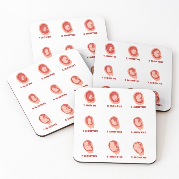 Item preview, Embryo foetus development sticker set for journal and calendar designed and sold by Lady-Frost.