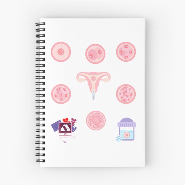 Item preview, Embryo development sticker set for journal and calendar designed and sold by Lady-Frost.