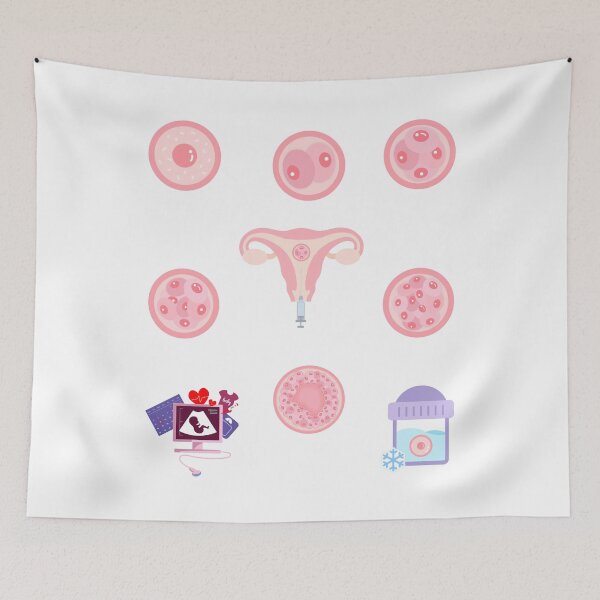 Item preview, Embryo development sticker set for journal and calendar designed and sold by Lady-Frost.