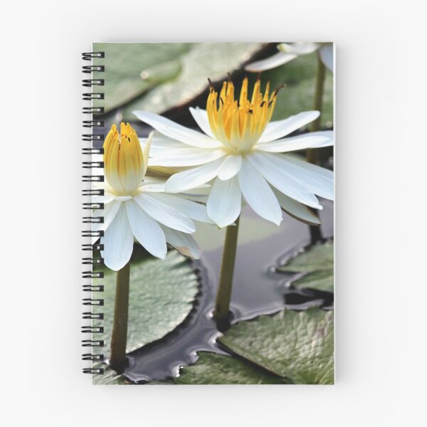 Item preview, Beautiful Water Lily designed and sold by croper.
