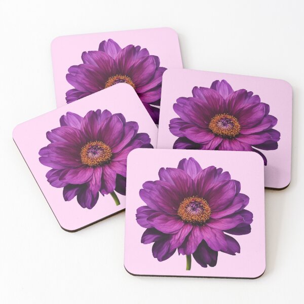 Item preview, Little Violet - Violet Flower designed and sold by MyFlowers.