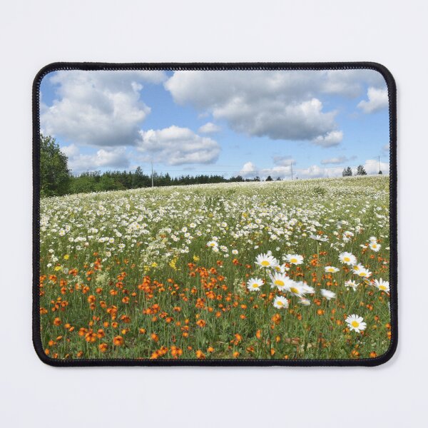 Item preview, A field in bloom in summer designed and sold by Claude Laprise.
