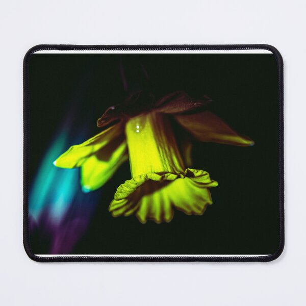 Item preview, Daffodil in the shadows designed and sold by Mothboybrown.