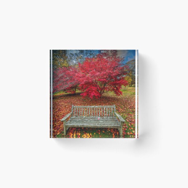 Item preview, Autumn Splendour designed and sold by AJEvans.