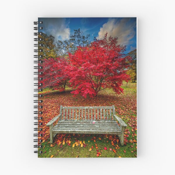Item preview, Autumn Splendour designed and sold by AJEvans.