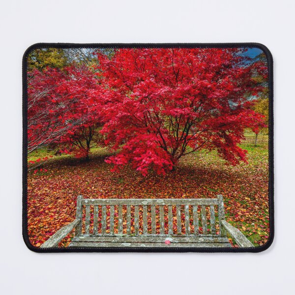 Item preview, Autumn Splendour designed and sold by AJEvans.