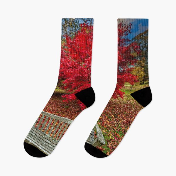 Item preview, Autumn Splendour designed and sold by AJEvans.