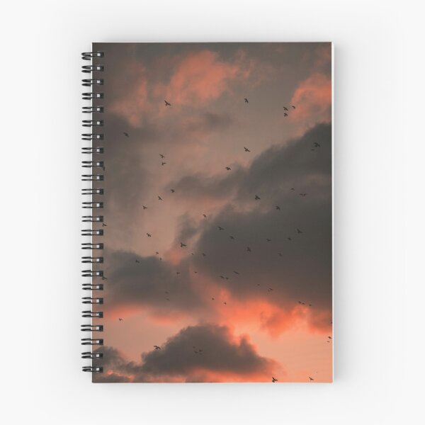 Item preview, Whispering Wings: A Blushing Sunset designed and sold by asun5.