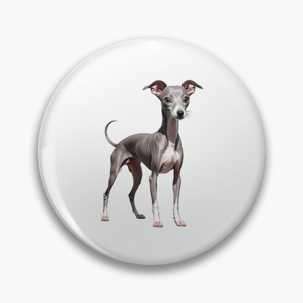 Item preview, Italian Greyhound designed and sold by Bilisik.