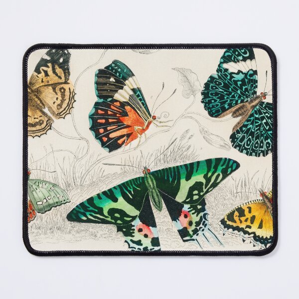 Item preview, Vintage Butterfly Art Rebirth Symbol designed and sold by CulturalCurios.