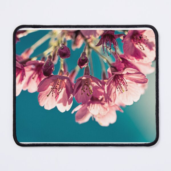 Item preview, Cherry Blossom designed and sold by Mothboybrown.