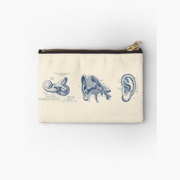 Item preview, Human Ear Anatomy Diagram designed and sold by VAposters.