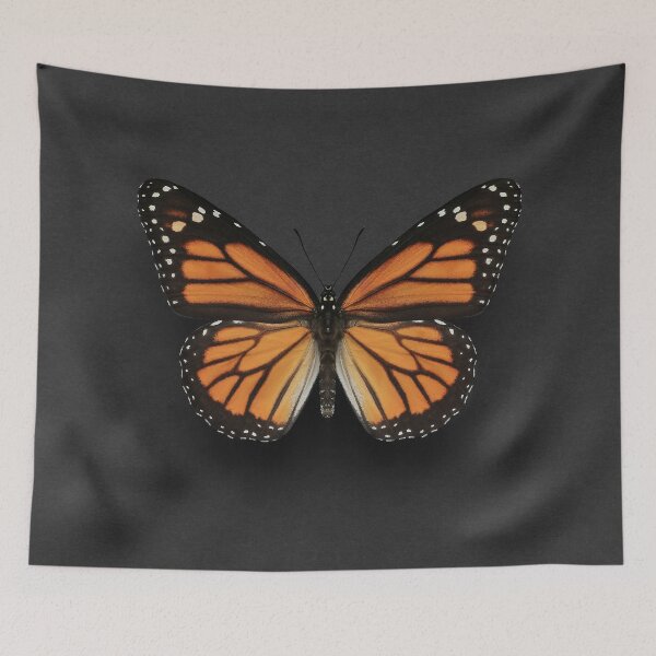 Item preview, Monarch Butterfly designed and sold by AlysonFennell.