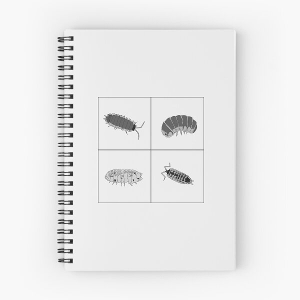 Item preview, woodlice mix designed and sold by Lilis-isopods.