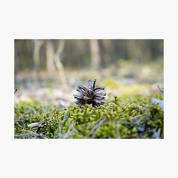 Item preview, Pine cone designed and sold by MarcVan.