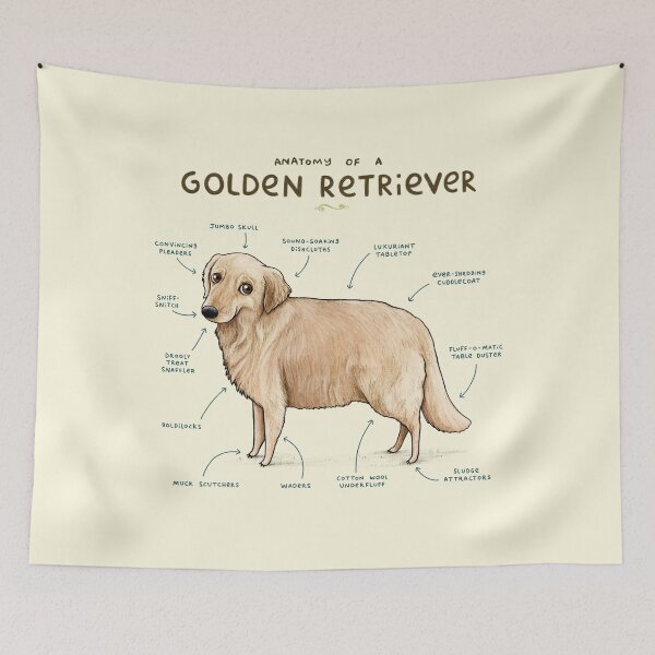 Item preview, Anatomy of a Golden Retriever  designed and sold by SophieCorrigan.