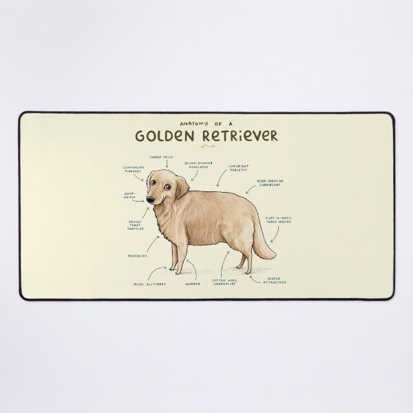 Item preview, Anatomy of a Golden Retriever  designed and sold by SophieCorrigan.