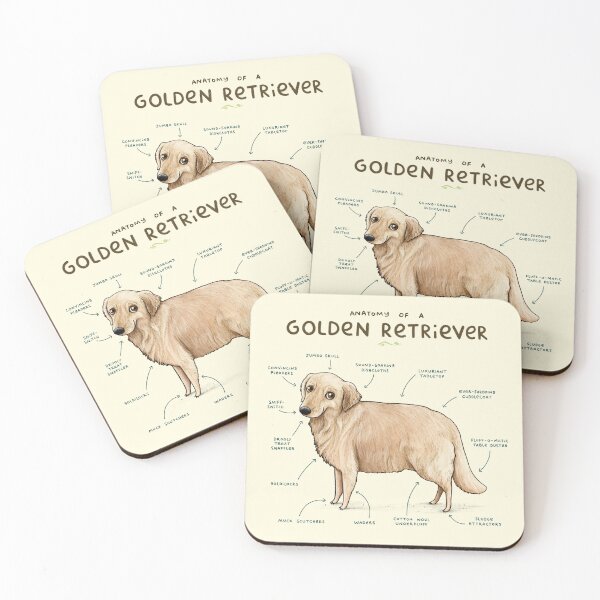 Aperçu de l'œuvre Anatomie d'un Golden Retriever créée et vendue par SophieCorrigan.