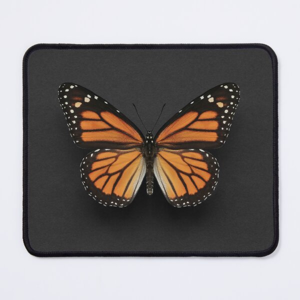 Item preview, Monarch Butterfly designed and sold by AlysonFennell.