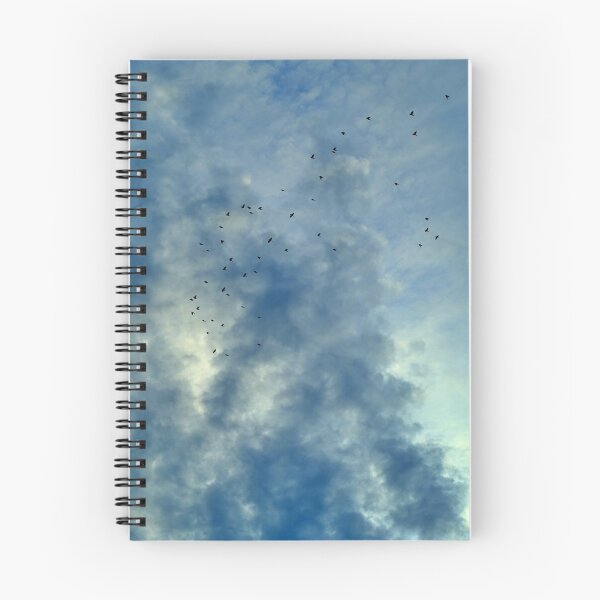 Item preview, Wonderful Blue Cloudy Sky Key of Birds designed and sold by pyzap.