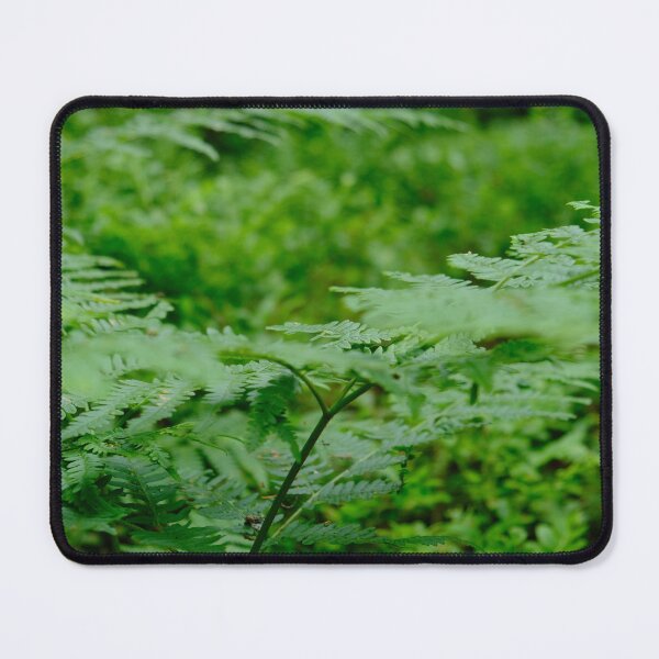 Item preview, Green Fern Plant in the Forest in the Mountains  designed and sold by pyzap.