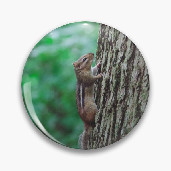 Item preview, Climbing Curio designed and sold by Koyotes.