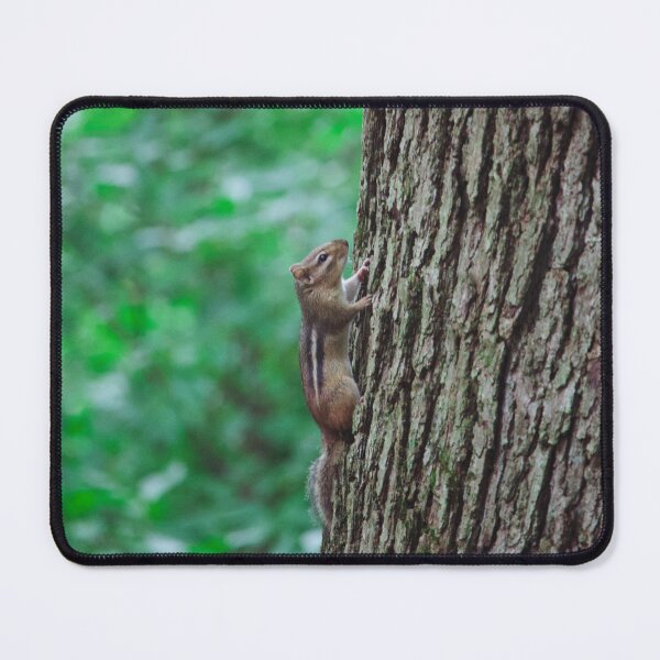 Item preview, Climbing Curio designed and sold by Koyotes.