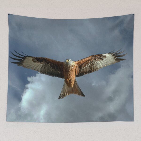 Item preview, Red Kite designed and sold by Tom McPherson Photography.