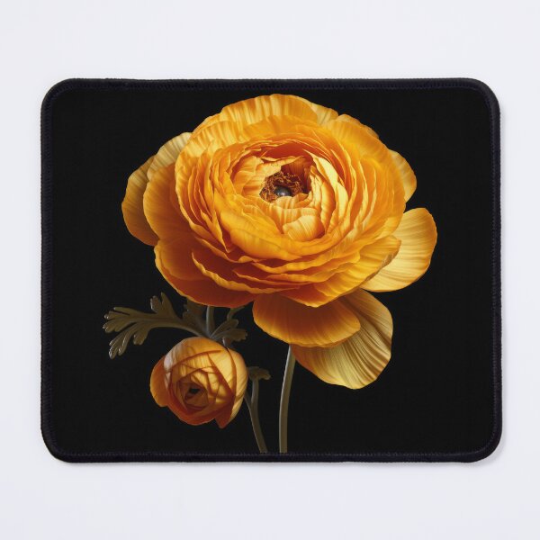Item preview, Hyper Realistic Orange Ranunculus Flower on Black Background designed and sold by SourHeadPattern.