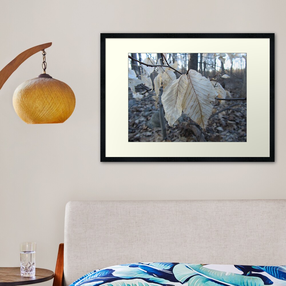 Old Together Framed Art Print