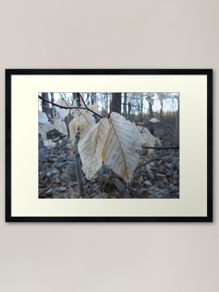 Alternate view of Old Together Framed Art Print