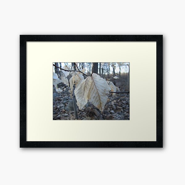 Old Together Framed Art Print