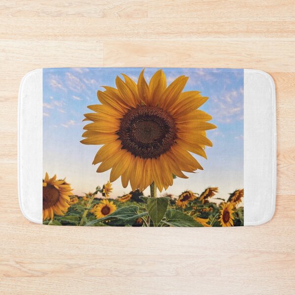 Item preview, Sunflower field with sunset  designed and sold by Creative-zone06.