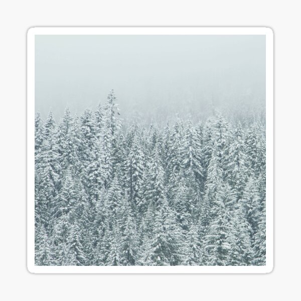 Snowy Tree Tops Sticker
