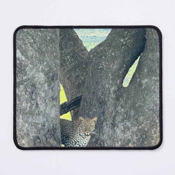 Item preview, Feirce Leopard on a tree designed and sold by annenambiro.