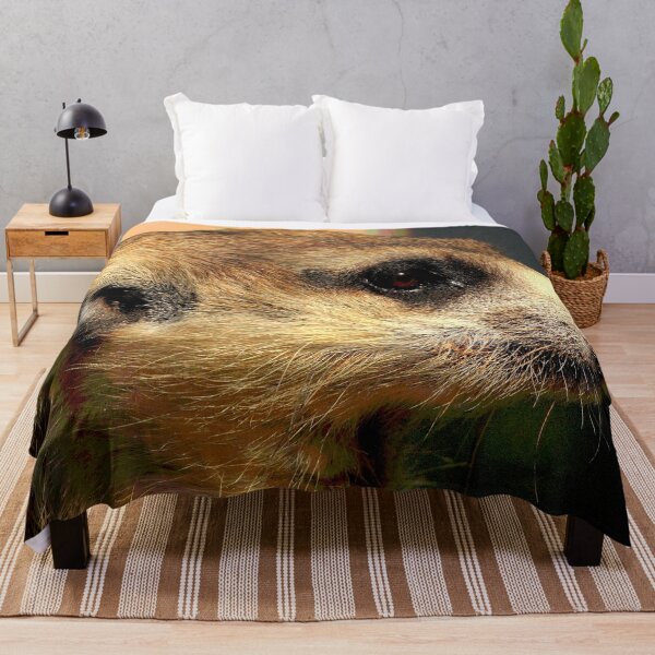 Aperçu de l'œuvre Suricate #2 créée et vendue par KingdomWildlife.