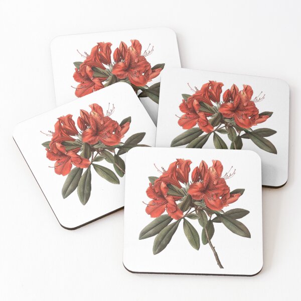 Item preview, Azalea Planting and Transplanting designed and sold by Artcurrents.